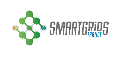 Smart Grids France